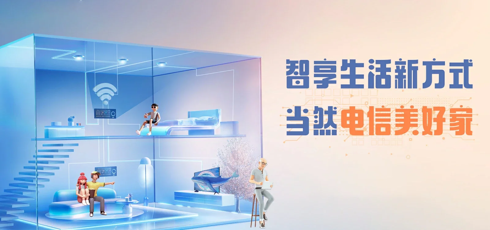 中国电信 紫云电信宽带 宽带套餐